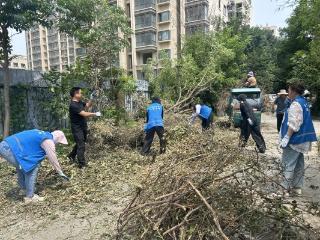 济宁市任城区南张街道满庄社区：清枯枝除隐患 老旧小区焕新颜