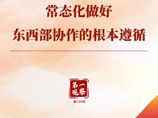 第一观察｜常态化做好东西部协作的根本遵循