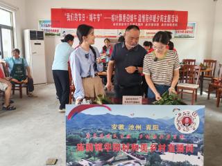和美乡村直播间|池州青阳：粽叶飘香迎端午，80岁老人“心里格外舒坦”