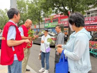 粽叶飘香迎端午 一束艾草送祝福