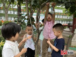 邢台市第一幼儿园悬挂香囊盼夏安