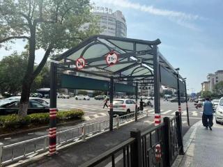 杭州街头上线952顶！这道夏日限定风景线来了