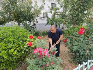 【我们的价值观】济南市莱芜区羊里街道辛兴东北村：党群携手清家园 和美乡村焕新颜