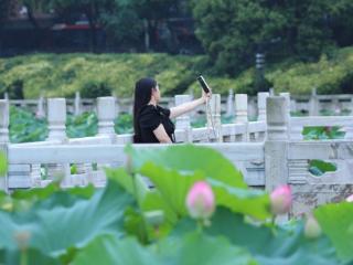 图｜夏至过后逢细雨，满池荷花绘出水墨风光