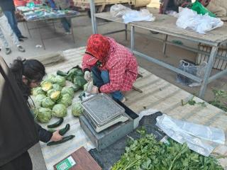 城长·印记”作品赏析（第十六期）：镜揽市井温情 影绘港城日常