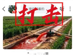 网警依法查处编造传播涉农网络谣言案 全力护航“三夏”生产