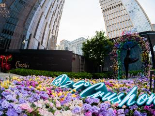「仲夏之梦」肖邦吧户外花园浪漫开启