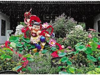 第三届西湖莲荷展正式启幕