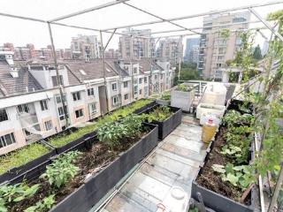杭州市中心的顶跃到底能卖什么价？