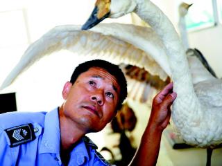 三十年坚守黄河湿地，陈洪永和他的56本护鸟日记