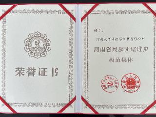 籽籽同心！大河网获评“河南省民族团结进步模范集体”