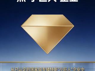 县域黑马！郏县一企业拿下国家级重点“小巨人”