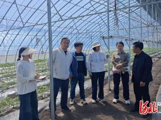 岗站对接，助力张家口市设施蔬菜产业提档升级