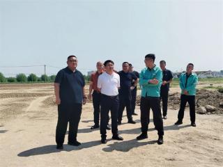 刘海青到棣丰街道督导道路建设工作