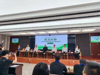 首批“皖美好物”集中亮相 地域特色里藏着安徽味道与文化底蕴
