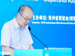 聚焦链博会丨国家林业和草原局发改司二级巡视员孙友：诚邀各界投资贵州