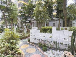 “边角料”空间建成“百草园” 一栋居民楼的“花园实验”