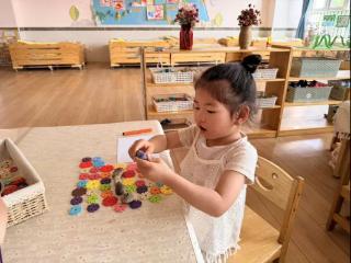 淄博市淄川区柳泉幼儿园：趣玩小石头 数学大奥秘