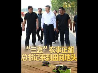 拾光纪·“三夏”农事正酣，总书记来到田间地头