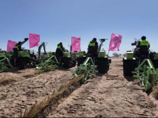 智能装备规模应用助推“三北”工程高效治理