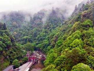 【登山泡泉逛古城 康养旅居到铜仁】放下城市焦虑，住进梵净山的夏日清风里