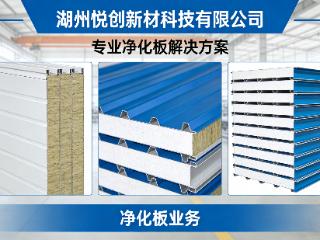 2026年知名的净化板公司综合实力推荐