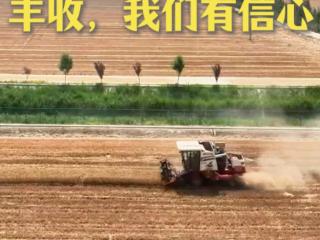 和总书记面对面｜丰收，我们有信心