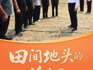 天天学习｜田间地头的关切