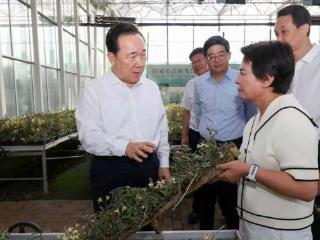 王浩在义乌调研时强调 做深做好“强城”“兴村”“融合”三篇文章 在推动高质量发展中不断增进民生福祉