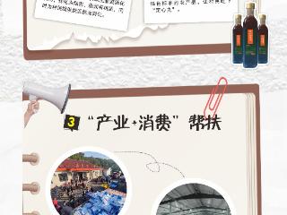 绿染烟田 金叶富民——岳家棚村的绿色农业振兴画卷