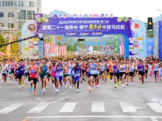21℃的奔赴，21年的约定！第二十一届“黄马”绘就甜蜜镇宁浪漫画卷