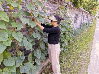 一句承诺三十余载 花甲农妇用一生诠释“孝”的真谛
