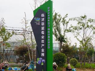 临沭县大兴镇：扮靓蓝莓产业园 生态宜居环境美