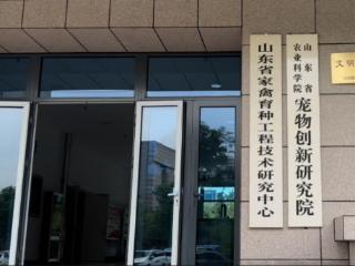 产研锚定规范赛道 科研撬动中国宠业——山东省农科院宠物创新研究院“宠业”探索样本解析