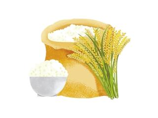 不吃主食能消“碳水脸”？盲目断碳更伤身！