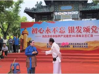 高淳区淳溪街道：初心永不忘 银发颂党情