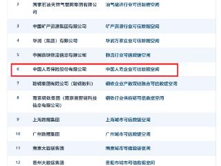 领跑金融业！中国人寿首批通过可信数据空间可信能力测评