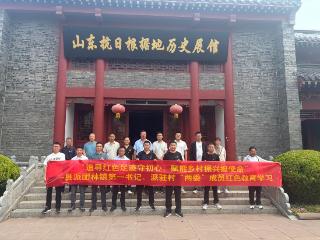 莒南县团林镇组织第一书记、村 “两委” 到大店镇观摩交流