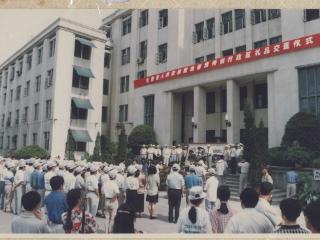 29年前，安徽赠香港铁画《霞蔚千秋》是这样精心制作的