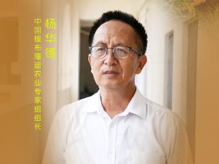 写给未来的五年｜让中国农业技术在非洲大地结出硕果