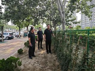 无棣县：爬墙月季为棣丰城市微空间披上“浪漫滤镜”