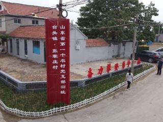 百年年轮，何以“红”遍？