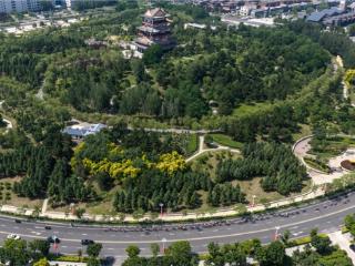 2026年全国公路自行车锦标赛暨全国青年公路自行车锦标赛在沈阳康平圆满落幕