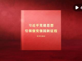 习近平党建思想引领强党强国新征程