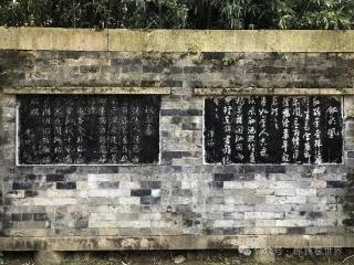 司马一民：唐琬是不是陆游的表妹？