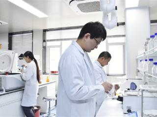 技能人才也能申报正高！河南打通职业发展“双通道”