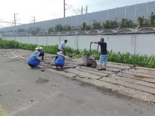 济宁市任城区二十里铺街道伊庄村开展“修缮破损道路 优化人居环境”志愿服务活动