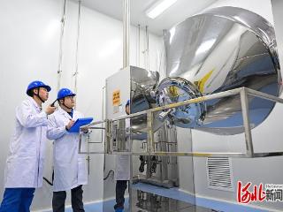全过程创新生态链助力150多款原料药投产 京津“好种子” 沧州结硕果