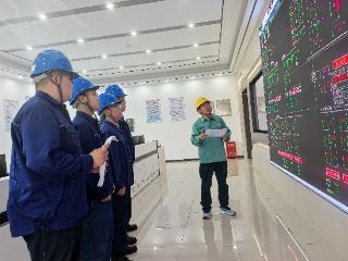河北省首个海上光伏项目顺利并网