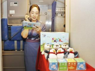 乘山东航空，游好客山东 万米云端解锁“宝藏山东”，泉城省博体验南北极秘境